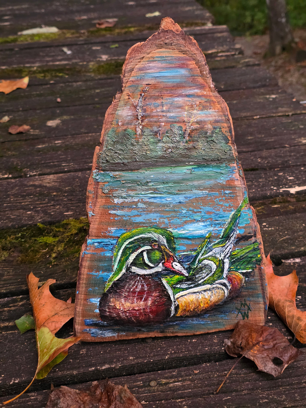 Wood Duck