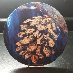 Pine Cone - Cutting board, 12" tempered glass